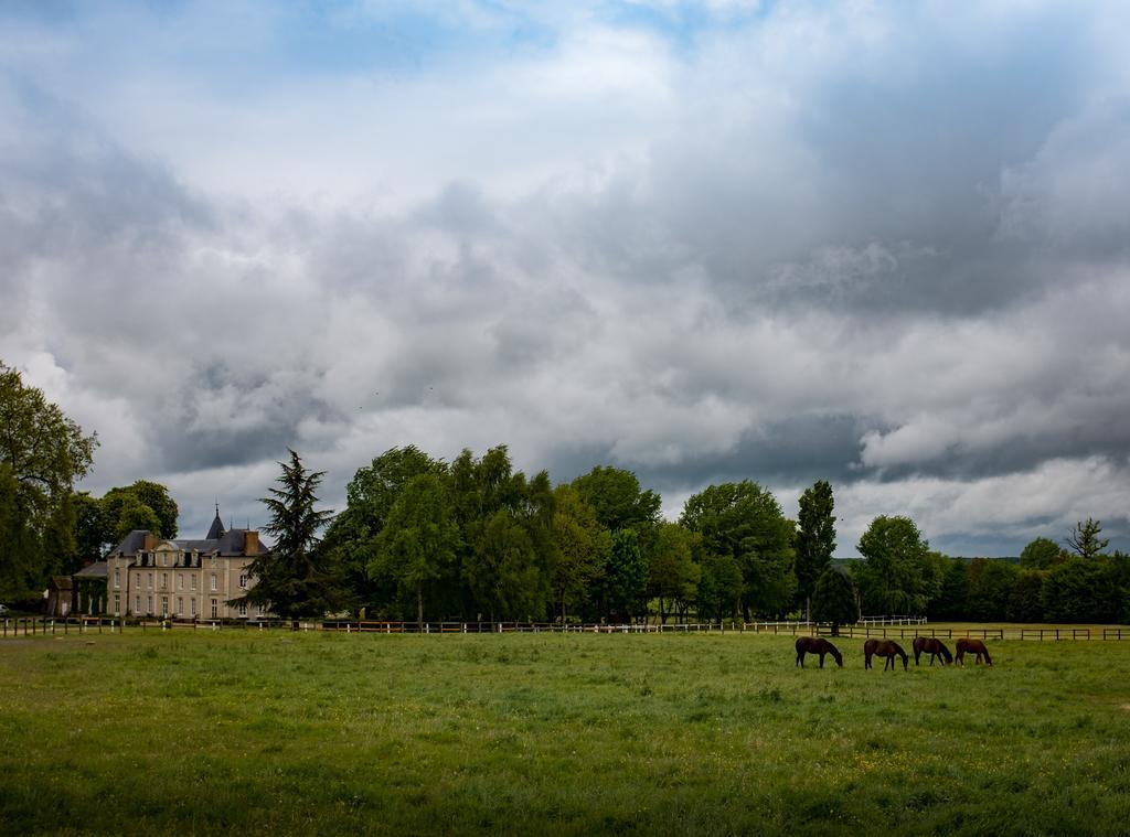 Hotel Haras De La Potardiere Crosmières Exteriér fotografie
